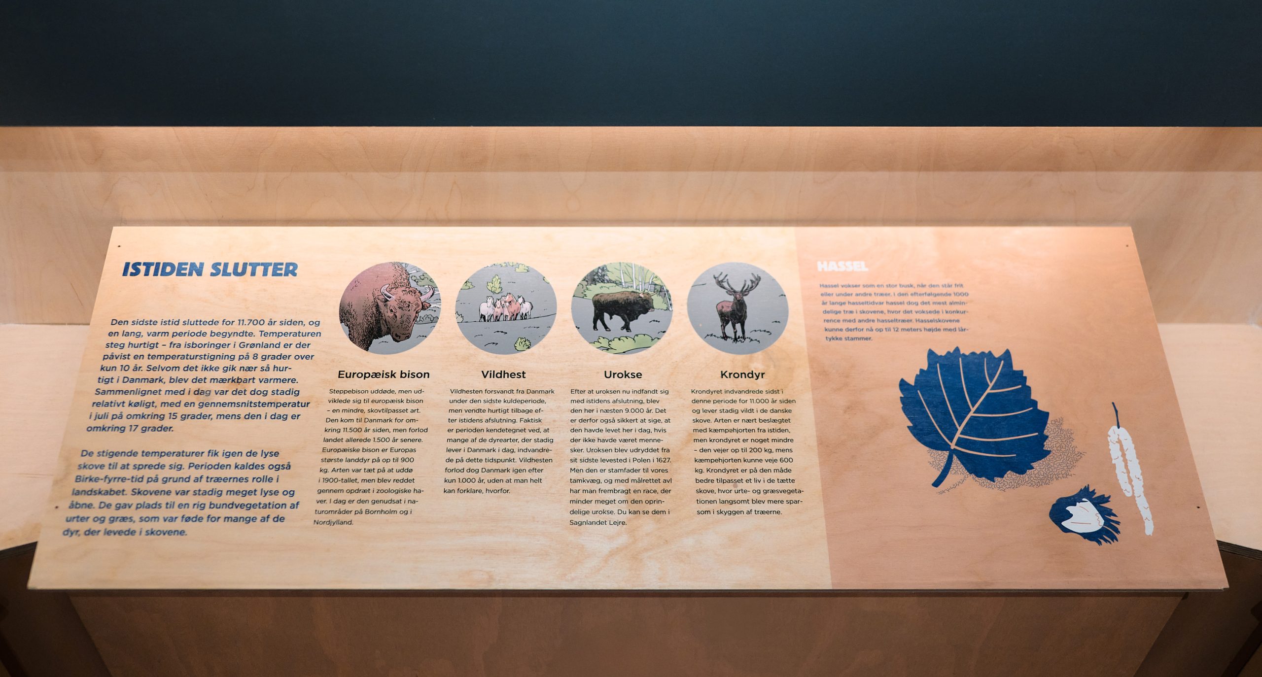 Urskovens-historie-signage02