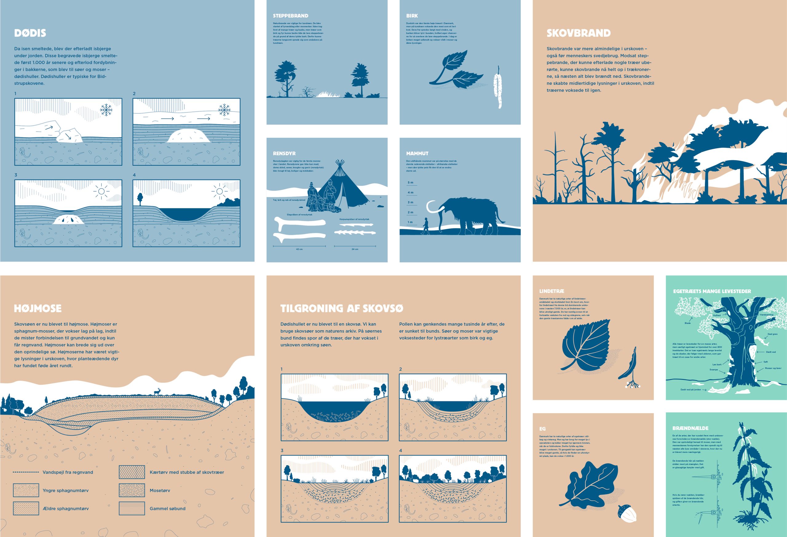 Urskovens-historie-infographics