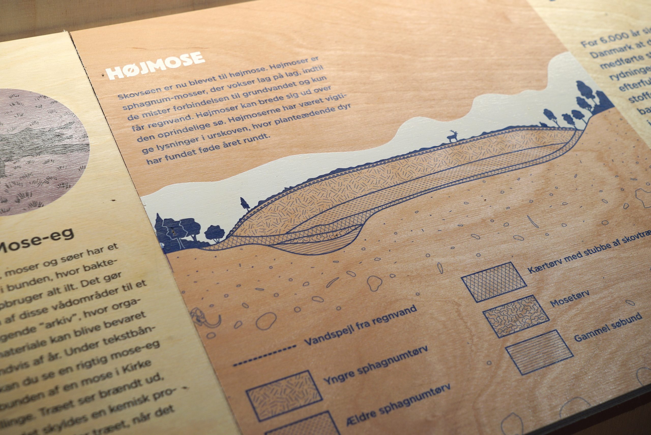 Infographics showing the soil layers in a raised bog.